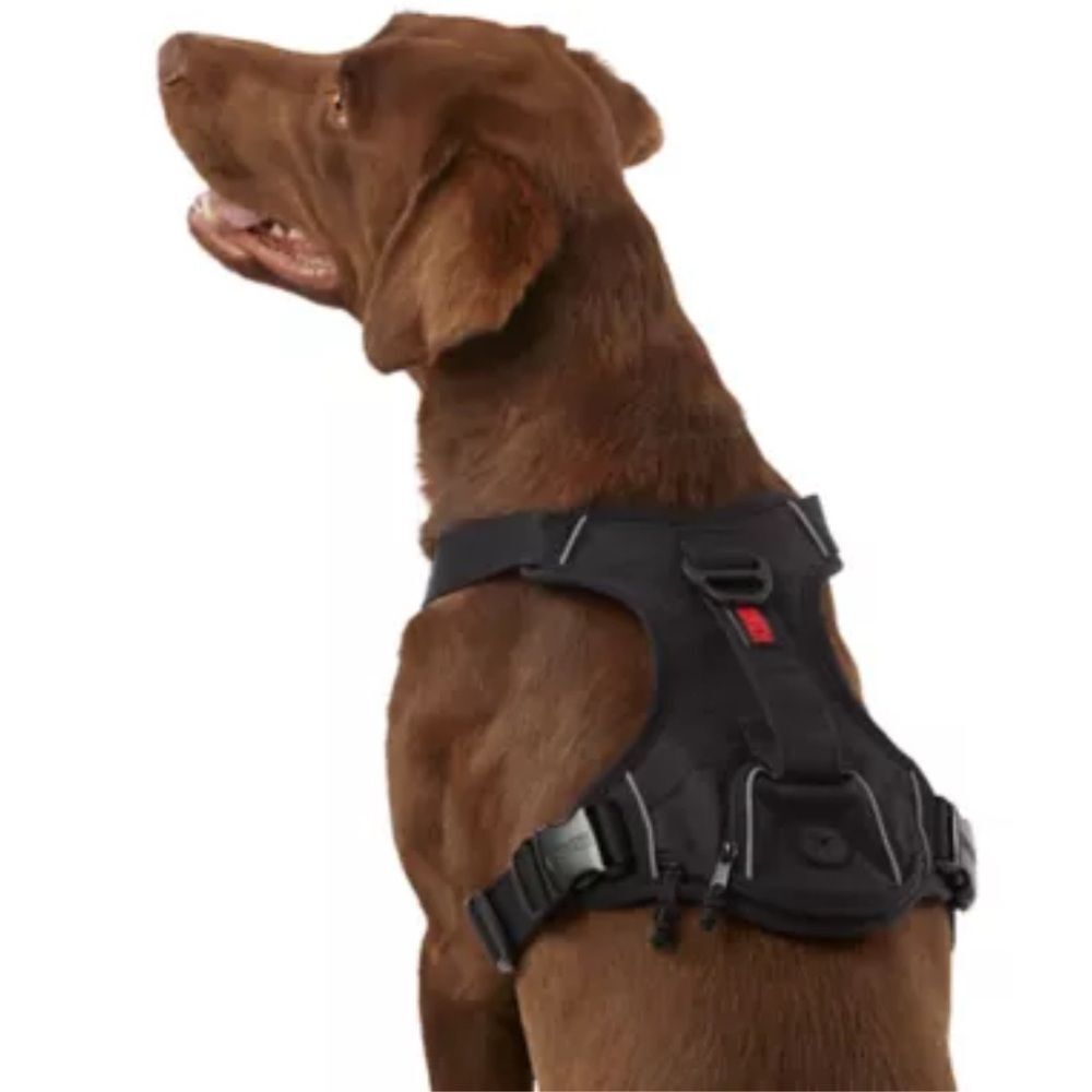 Kong reflective dog harness 🐕 euc